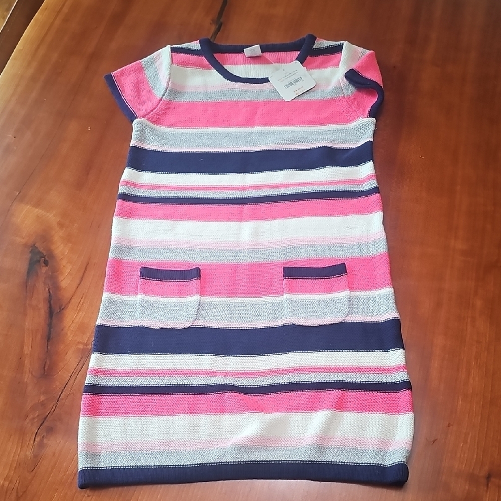 Striped Pink and Navy Dress with Pockets